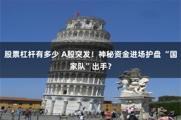 股票杠杆有多少 A股突发！神秘资金进场护盘 “国家队”出手？