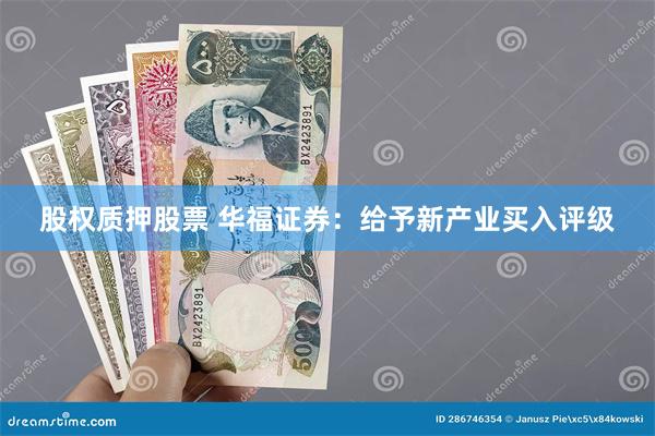 股权质押股票 华福证券：给予新产业买入评级