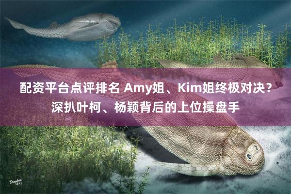 配资平台点评排名 Amy姐、Kim姐终极对决？深扒叶柯、杨颖背后的上位操盘手