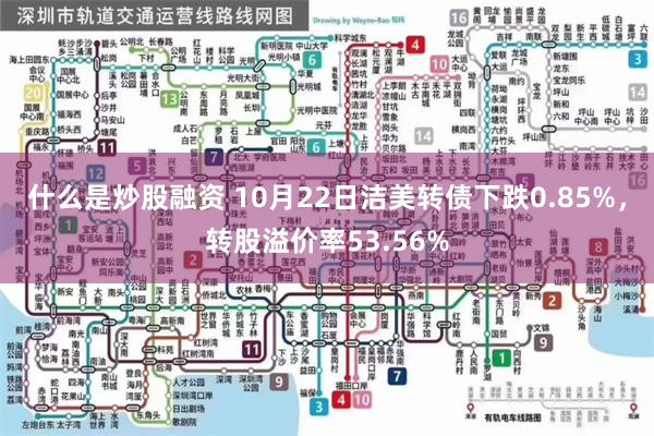 什么是炒股融资 10月22日洁美转债下跌0.85%，转股溢价率53.56%