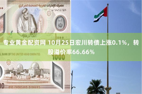 专业黄金配资网 10月25日宏川转债上涨0.1%，转股溢价率66.66%