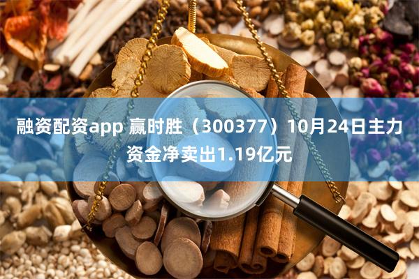 融资配资app 赢时胜（300377）10月24日主力资金净卖出1.19亿元