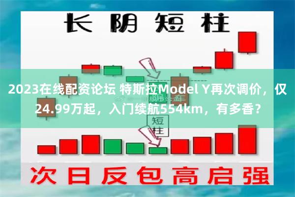 2023在线配资论坛 特斯拉Model Y再次调价，仅24.99万起，入门续航554km，有多香？