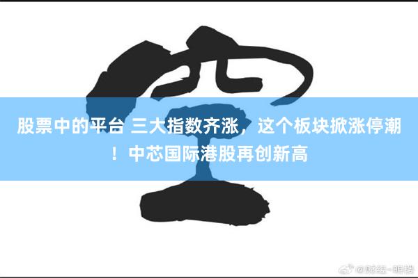 股票中的平台 三大指数齐涨，这个板块掀涨停潮！中芯国际港股再创新高