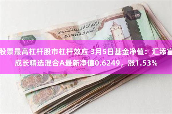 股票最高杠杆股市杠杆效应 3月5日基金净值：汇添富成长精选混合A最新净值0.6249，涨1.53%