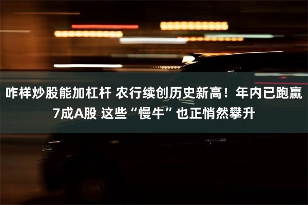 咋样炒股能加杠杆 农行续创历史新高！年内已跑赢7成A股 这些“慢牛”也正悄然攀升