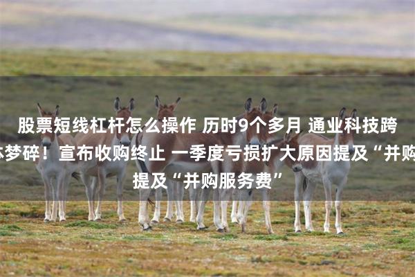 股票短线杠杆怎么操作 历时9个多月 通业科技跨界半导体梦碎！宣布收购终止 一季度亏损扩大原因提及“并购服务费”