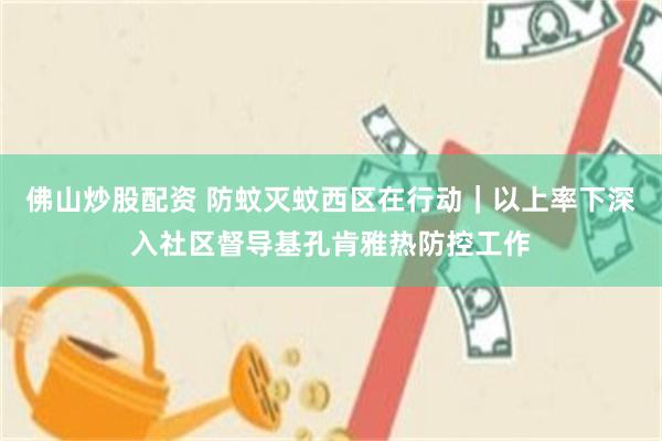 佛山炒股配资 防蚊灭蚊西区在行动｜以上率下深入社区督导基孔肯雅热防控工作