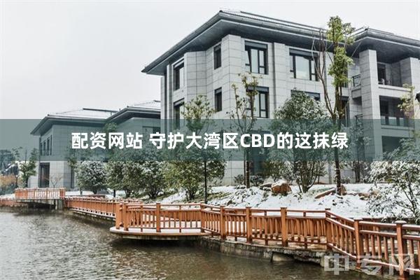 配资网站 守护大湾区CBD的这抹绿
