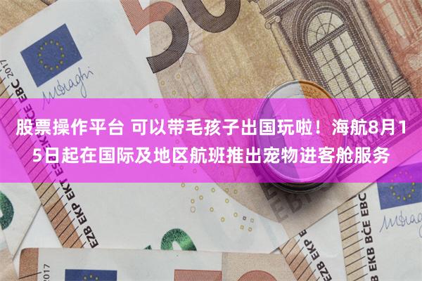 股票操作平台 可以带毛孩子出国玩啦！海航8月15日起在国际及地区航班推出宠物进客舱服务