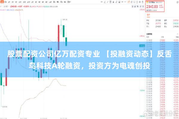 股票配资公司亿万配资专业 【投融资动态】反舌鸟科技A轮融资，投资方为电魂创投