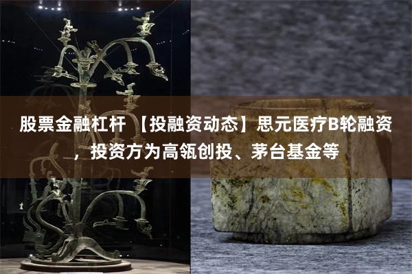 股票金融杠杆 【投融资动态】思元医疗B轮融资，投资方为高瓴创投、茅台基金等