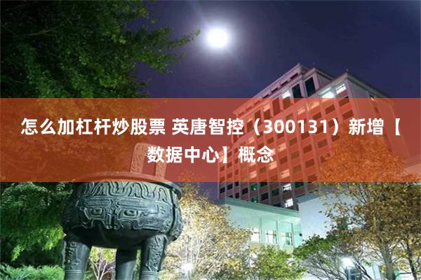 怎么加杠杆炒股票 英唐智控（300131）新增【数据中心】概念