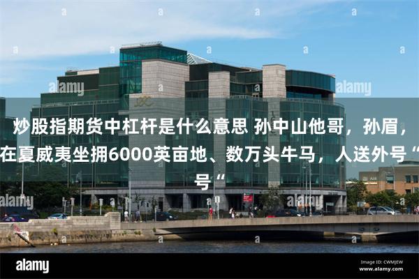 炒股指期货中杠杆是什么意思 孙中山他哥，孙眉，在夏威夷坐拥6000英亩地、数万头牛马，人送外号“