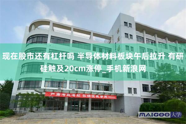 现在股市还有杠杆吗 半导体材料板块午后拉升 有研硅触及20cm涨停_手机新浪网