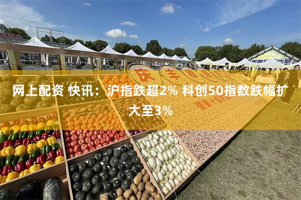 网上配资 快讯：沪指跌超2% 科创50指数跌幅扩大至3%