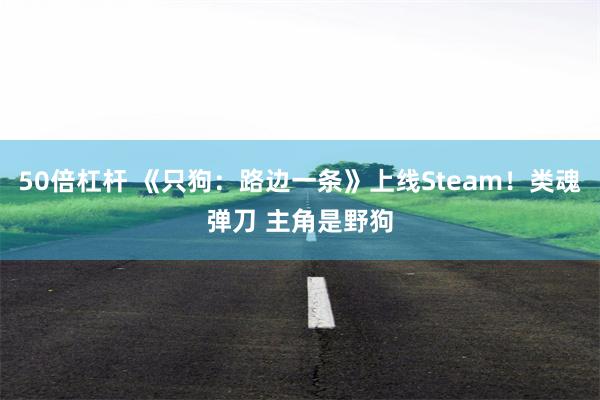 50倍杠杆 《只狗：路边一条》上线Steam！类魂弹刀 主角是野狗